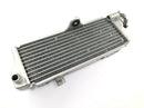 SWM RS 125 R B2 [2020] - Rede do radiador do sistema de refrigeração do refrigerador de água do radiador na frente-7