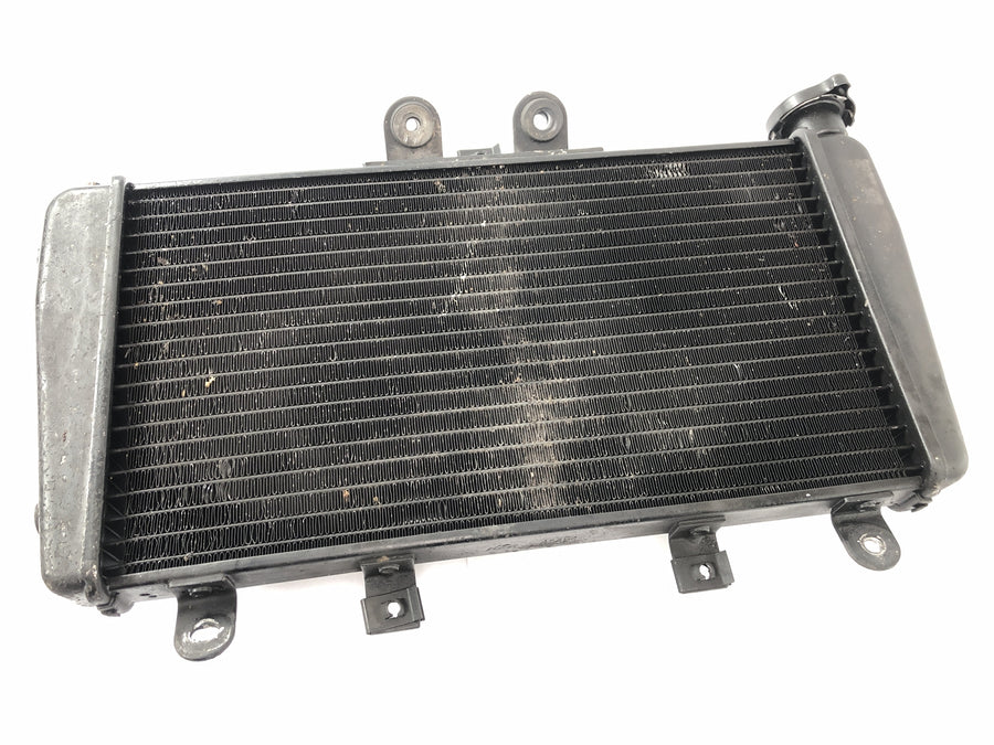 Triumph Speed Triple 1050 515NJ [2007] - Trocador de calor do radiador da motocicleta