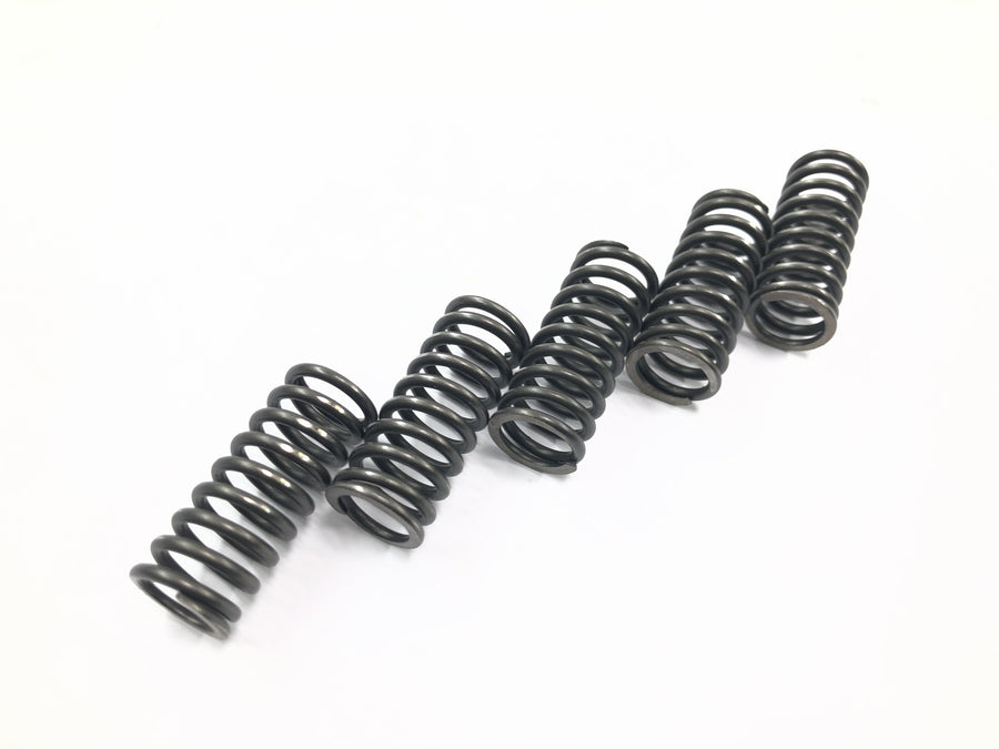 Suzuki RM Z 250 RJ41A [2007] - Conjunto de molas de embreagem, molas de pressão da embreagem