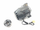 Triumph Daytona 900 T300 [1996] - Gerador alternador DC-5