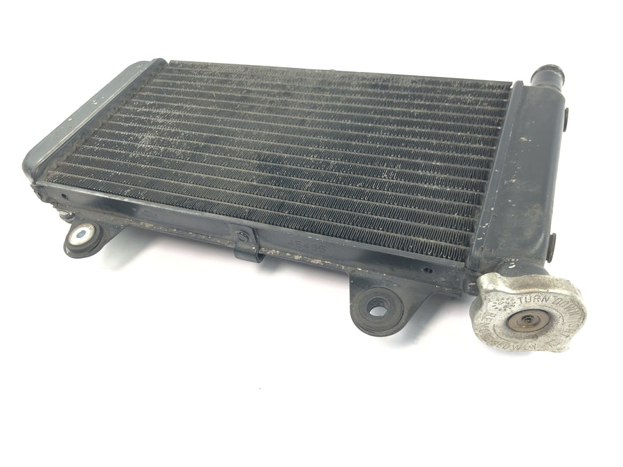 Yamaha MT 03 RM02 [2007] - Radiador, refrigerador de água, radiador do sistema de refrigeração do motor