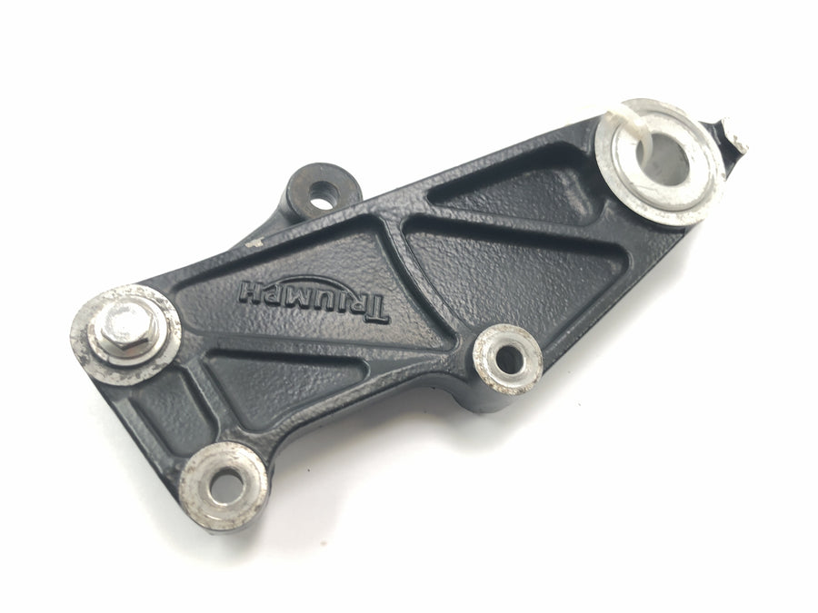 Triumph Tiger 955i 709EN [2003] - fixação da pinça do freio traseira