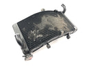 Honda CBR 900 RR Fireblade SC33 [2000] - Radiador refrigerador de água-4