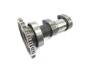 Suzuki RM Z 250 RJ41A [2007] - Árvore de cames de admissão-2