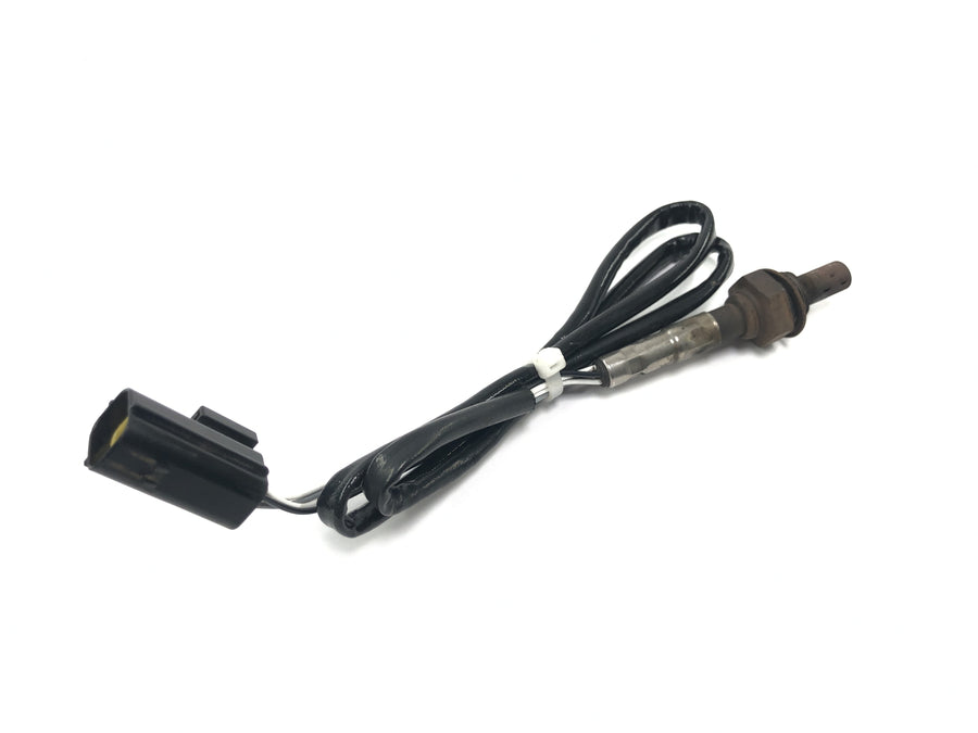 Triumph Tiger 955i 709EN [2003] - Sensor lambda sensor de oxigênio sensor de gases de escape