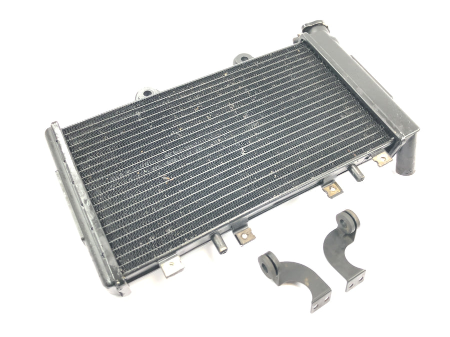 Triumph Daytona 1200 T300D [1994] - Rede de radiadores do sistema de refrigeração do refrigerador de água do radiador