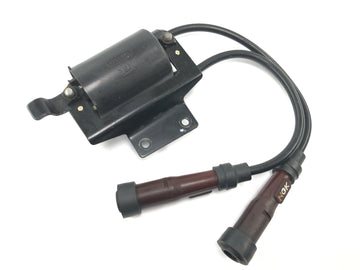 Triumph Bonneville T100 986MF [2012] - Unidade de ignição do módulo de ignição da bobina de ignição com cabo e conector de vela de ignição - 0