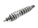 BMW R 1150 GS R21 [2002] - Amortecedor dianteiro Telelever-1