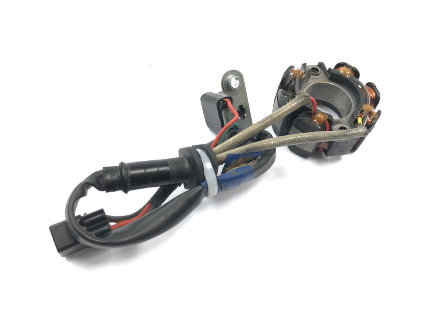 Suzuki RM Z 250 RJ41A [2007] - Alternador de captação de bobina de ignição do gerador de estator