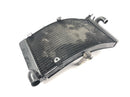 Honda CBR 900 RR Fireblade SC33 [2000] - Radiador refrigerador de água-5