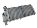 BMW F 650 GS R13 [2002] - Cooler do motor frio do refrigerador de água na frente-3