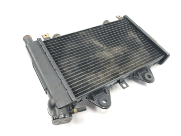 Triumph Daytona 900 T300D [1996] - Sistema de refrigeração do refrigerador de água do radiador - 0