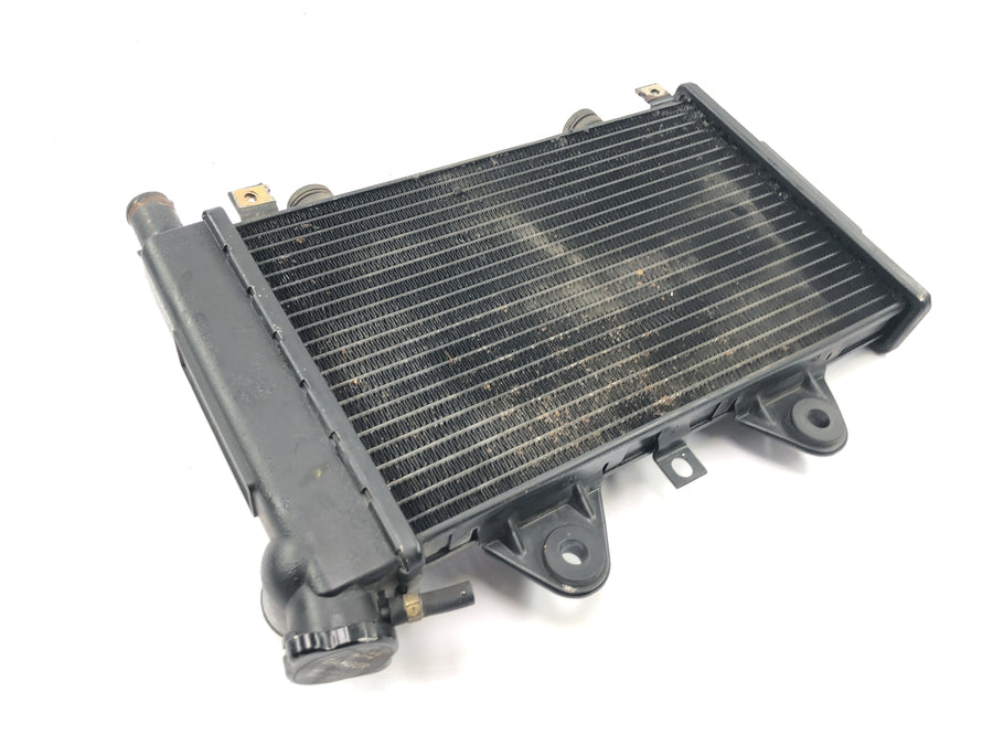 Triumph Daytona 900 T300D [1996] - Sistema de refrigeração do refrigerador de água do radiador