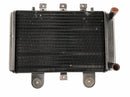 Triumph Thunderbird 900 T309RT [1995] - Sistema de refrigeração do radiador refrigerador de água-4