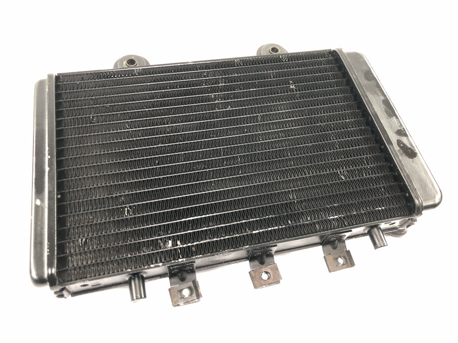 Triumph Thunderbird 900 T309RT [1995] - Sistema de refrigeração do radiador refrigerador de água