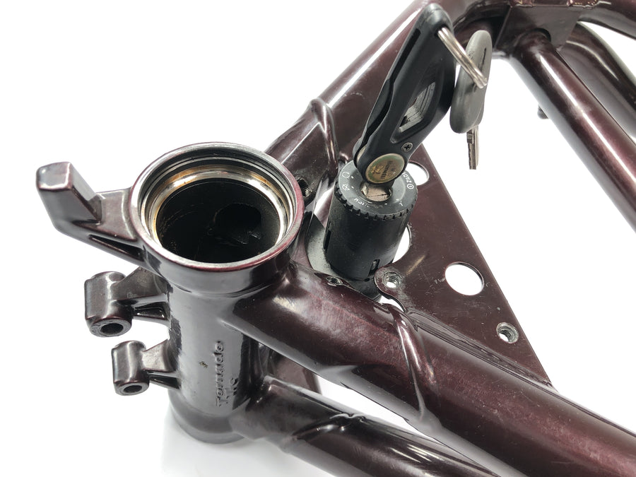 Benelli TNT 1130 [2009] - Moldura com papéis