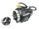 Triumph Adventurer 900 T309RT [1998] - Alternador Gerador Alternador 12V Nippondenso-2