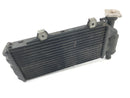 BMW F 650 GS R13 [2002] - Cooler do motor frio do refrigerador de água na frente-1