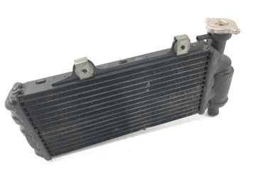 BMW F 650 GS R13 [2002] - Cooler do motor frio do refrigerador de água na frente