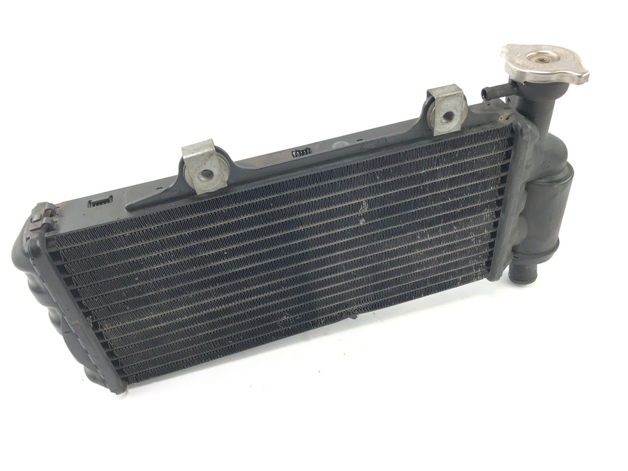 BMW F 650 GS R13 [2002] - Cooler do motor frio do refrigerador de água na frente