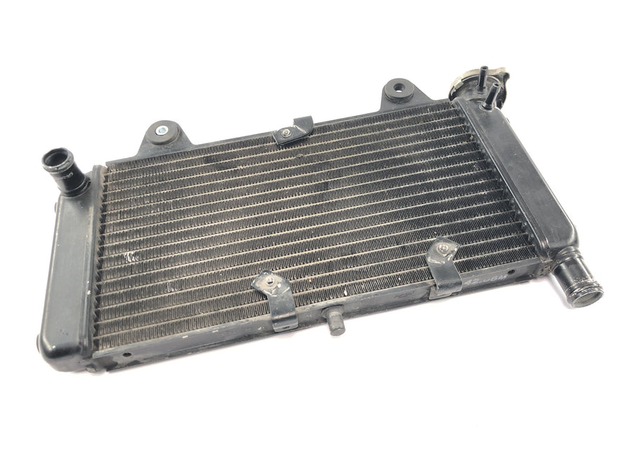 Yamaha MT 03 RM02 [2007] - Radiador, refrigerador de água, radiador do sistema de refrigeração do motor