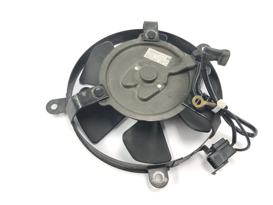 Honda CBR 900 RR Fireblade SC33 [2000] - Ventilador elétrico da roda do radiador