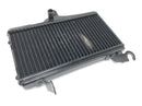 Honda NSR 125 JC22 [1998] - Radiator de refrigerador de água fria-3