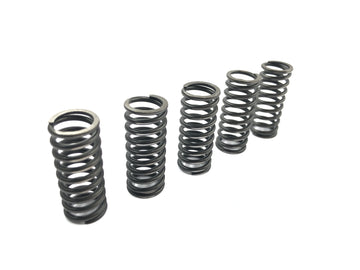 Suzuki RM Z 250 RJ41A [2007] - Conjunto de molas de embreagem, molas de pressão da embreagem