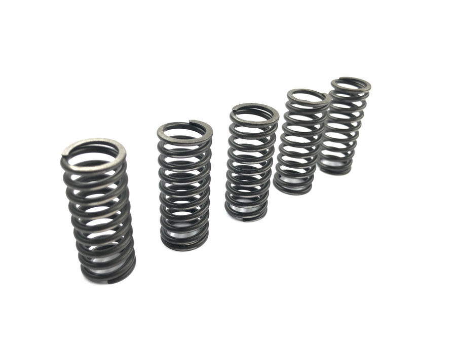 Suzuki RM Z 250 RJ41A [2007] - Conjunto de molas de embreagem, molas de pressão da embreagem