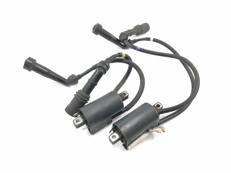 Yamaha XV 1600 Wild Star VP08 [2002] - Sistema de ignição do cabo de ignição do par de bobinas de ignição