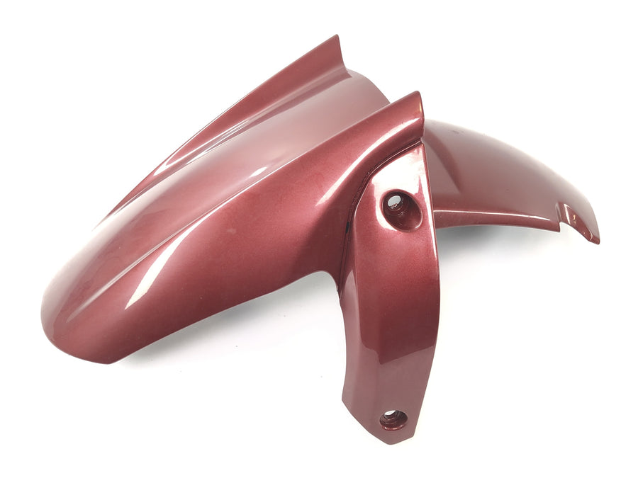 Benelli TNT 1130 [2009] - Guarda-lamas dianteiro