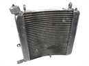 KTM 950 SM LC8 [2008] - Cooler de resfriador de água-1