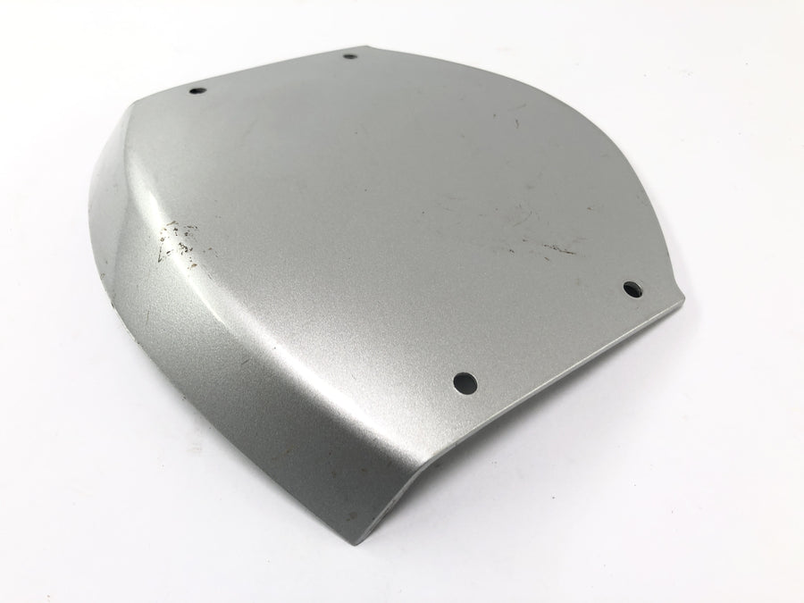 Kawasaki ZRX 1200 S ZRT20A [2002] Roupas Middle Part Front Cladding