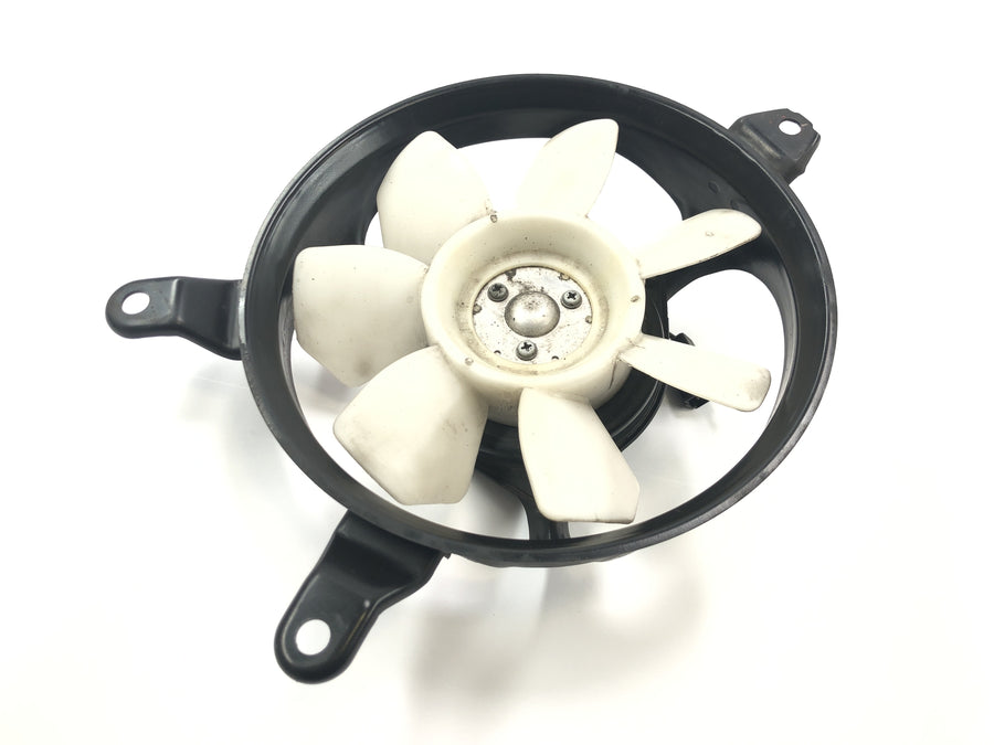 Triumph Tiger 955i 709EN [2003] - Ventilador elétrico do ventilador do radiador