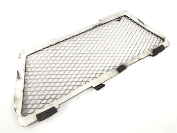 BMW R 1150 GS R21 [2002] - Painel frontal da grade de proteção da grade do radiador