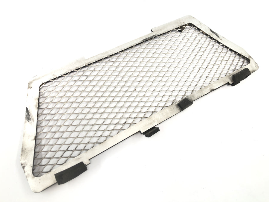 BMW R 1150 GS R21 [2002] - Painel frontal da grade de proteção da grade do radiador
