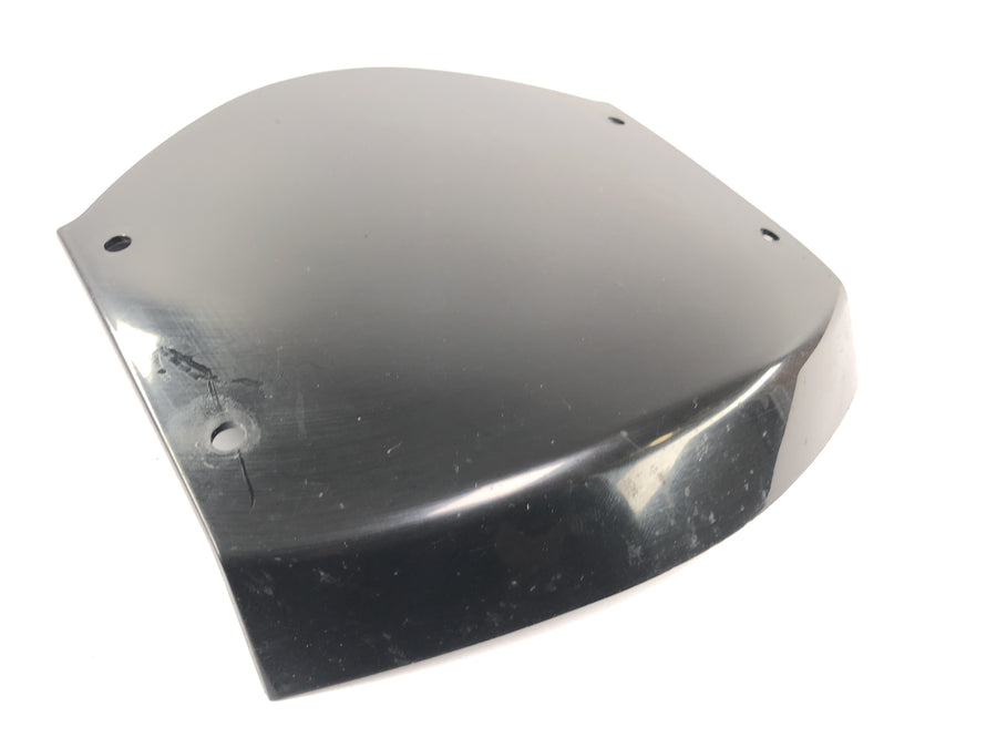 Kawasaki ZRX 1200 S ZRT20A [2002] Roupas Middle Part Front Cladding