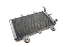 Triumph Tiger 955i 709EN [2003] - Sistema de refrigeração do refrigerador de água do radiador-2