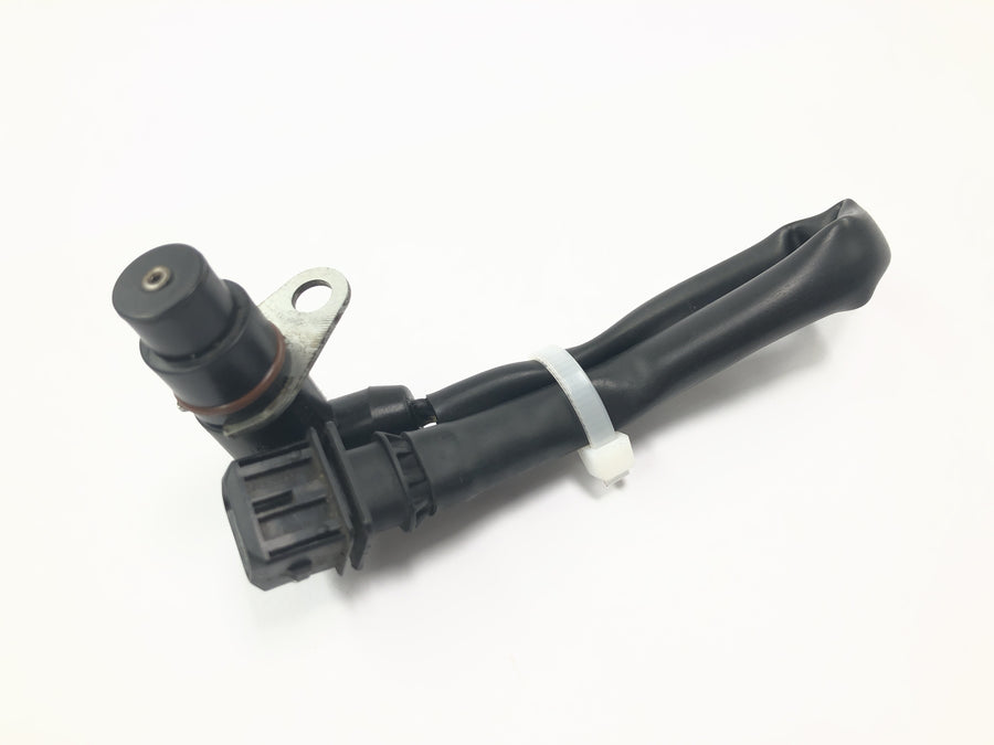 Triumph Tiger 955i 709EN [2003] - Captador