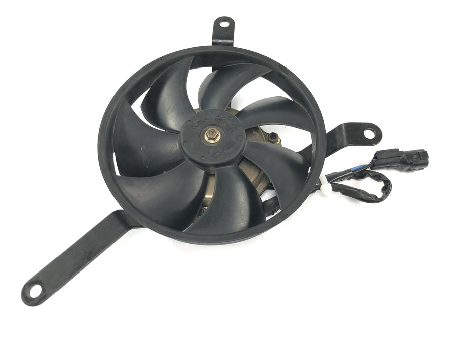 Honda CBR 600 RR PC37 [2004] - Ventilador dianteiro elétrico do radiador