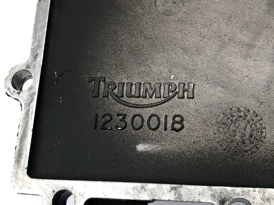 Triumph Daytona 1200 T300D [1994] - Cárter do motor parte inferior cárter do motor