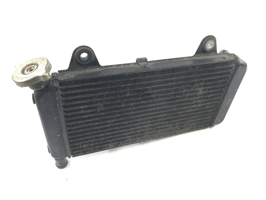 Yamaha MT 03 RM02 [2007] - Radiador, refrigerador de água, radiador do sistema de refrigeração do motor
