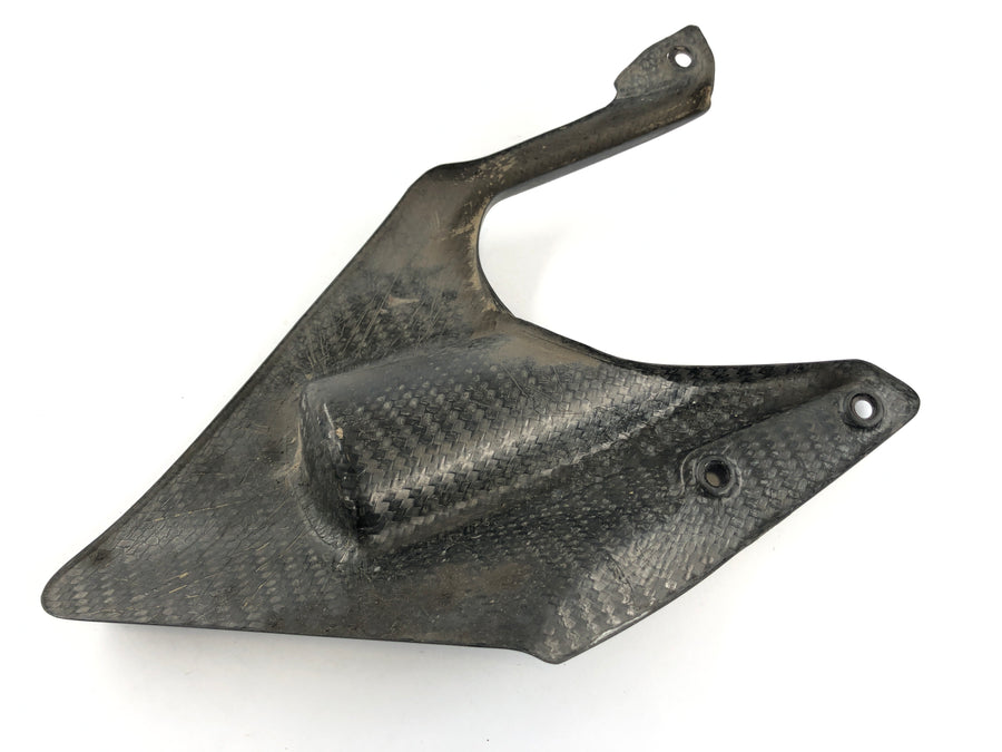 Ducati 1098 S H7 [2009] - Carbono da tampa da roda traseira