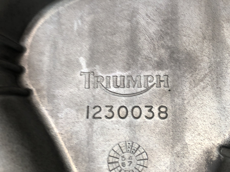 Triumph Daytona 900 T300 [1996] - Tampa do cárter do motor