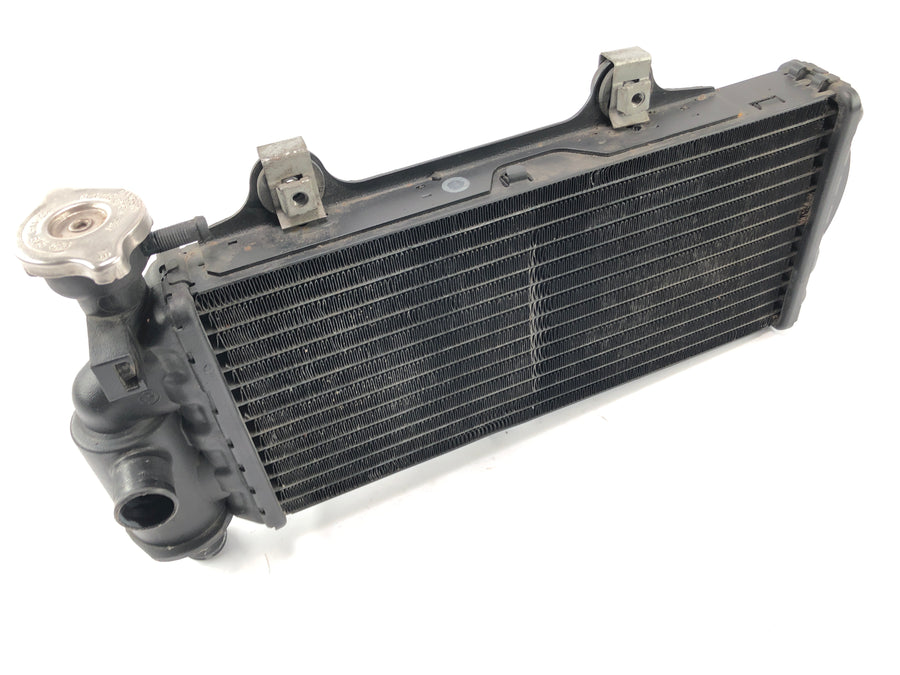 BMW F 650 GS R13 [2002] - Cooler do motor frio do refrigerador de água na frente