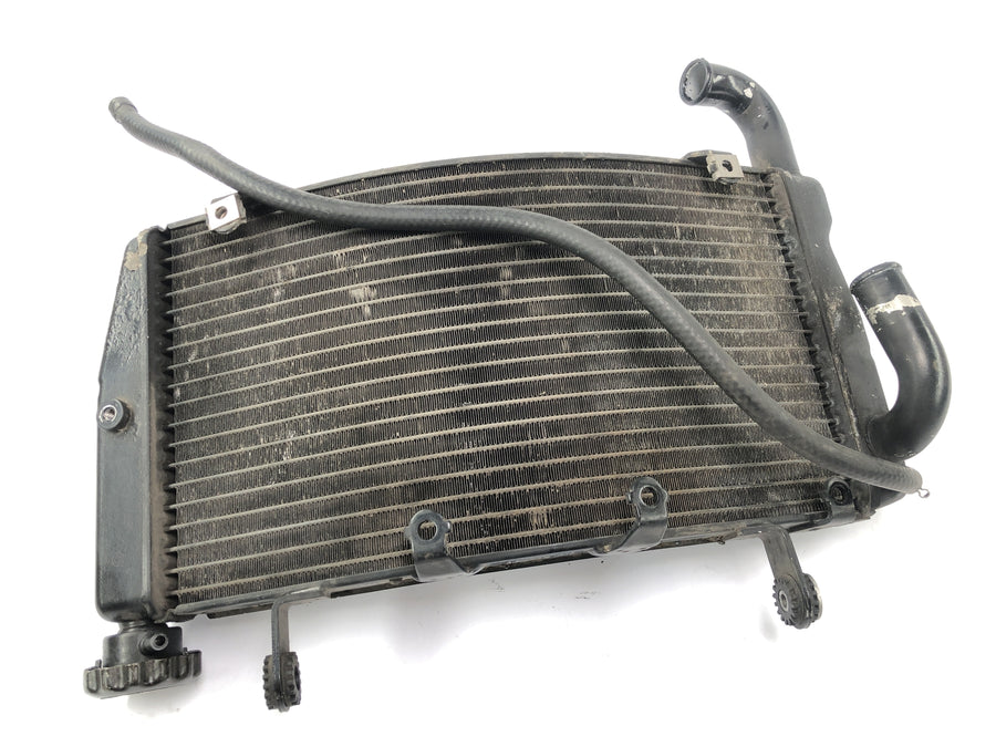 Ducati 999 H4 [2003] - Radiator de refrigerador de água fria