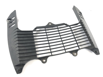 Yamaha XT 660 DM01 [2004] - Tampa da grade do radiador