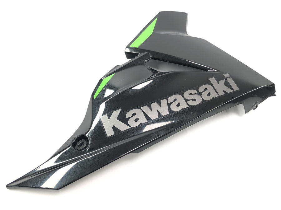 Kawasaki Ninja 125 BX125B [2024] - Página de limpeza revestimento de bugs de revestimento à direita