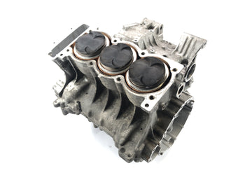 Triumph Daytona 955i T595N [2003] - Motor de Motor Motor Motor Block Block Block