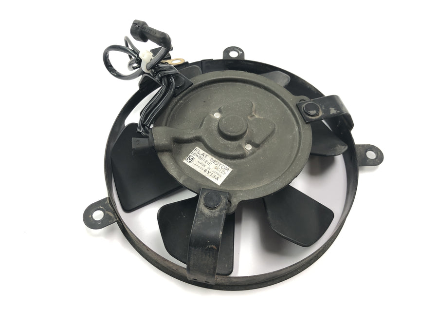Honda CBR 900 RR Fireblade SC33 [2000] - Ventilador elétrico da roda do radiador